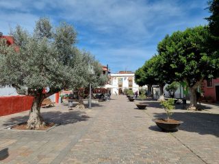 2022-10-GranCan-San_Mateo-16.jpg